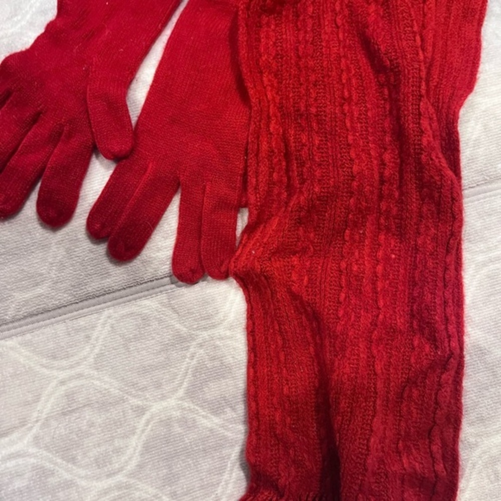 New York & Company scarf and gloves